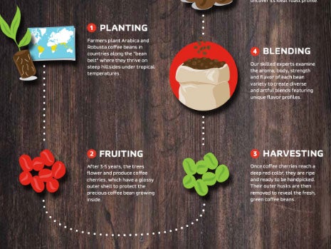 How is Coffee Made: The Journey from Bean to Cup