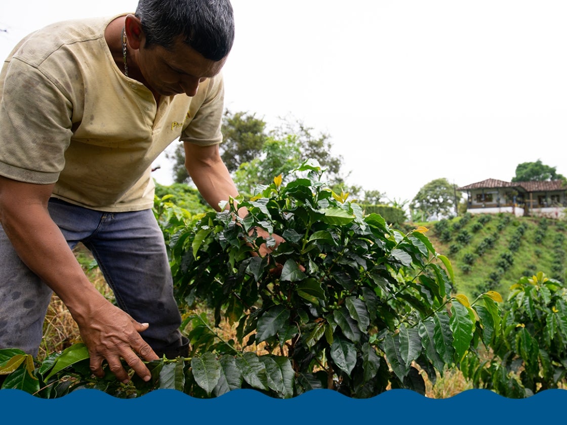 Sustainability image with blue border