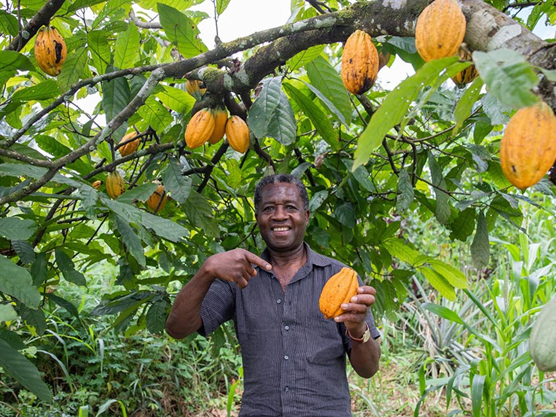 man holding a cocoa pod