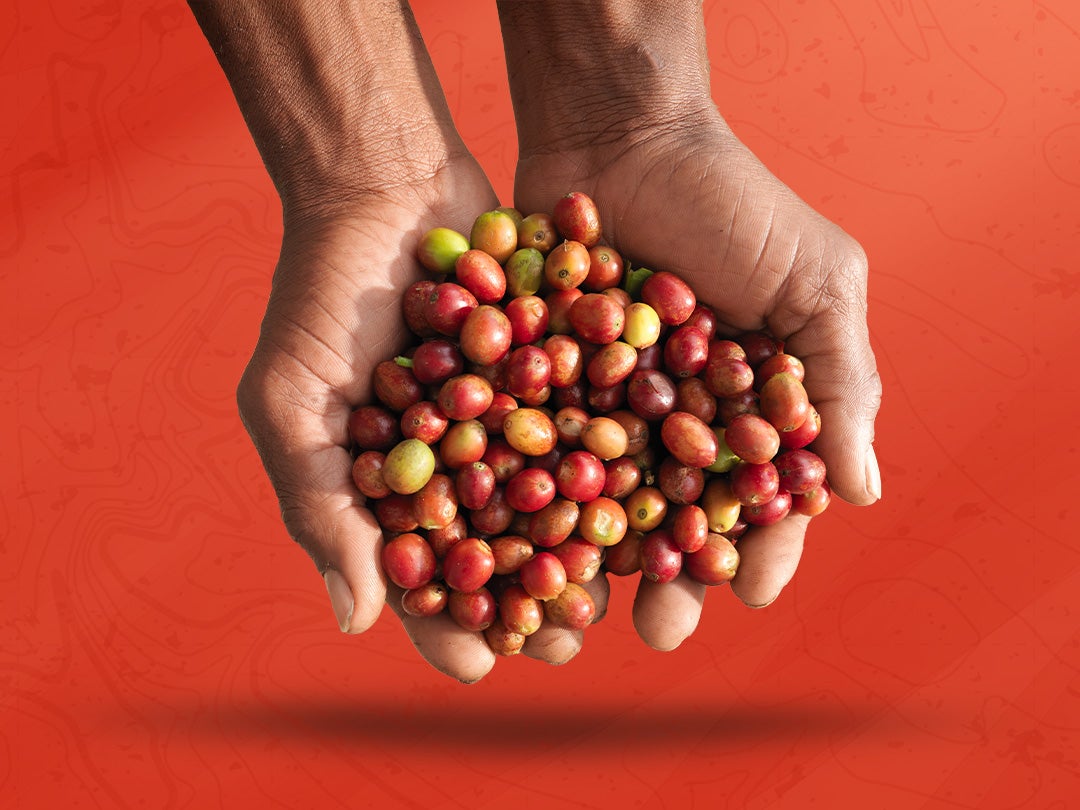Sustainable coffee farmers